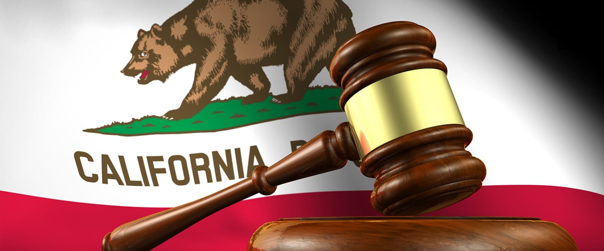 Understanding Opt-Out Rights in Class Actions